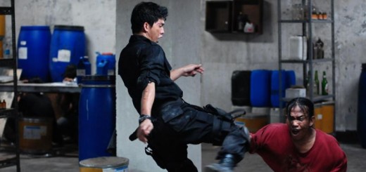 The Raid