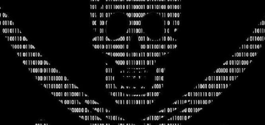 all-the-piracy1