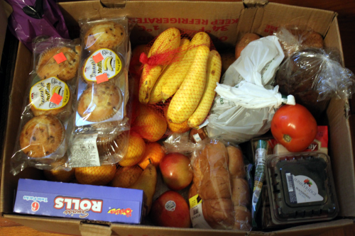 dumpster_dive_food_freegan